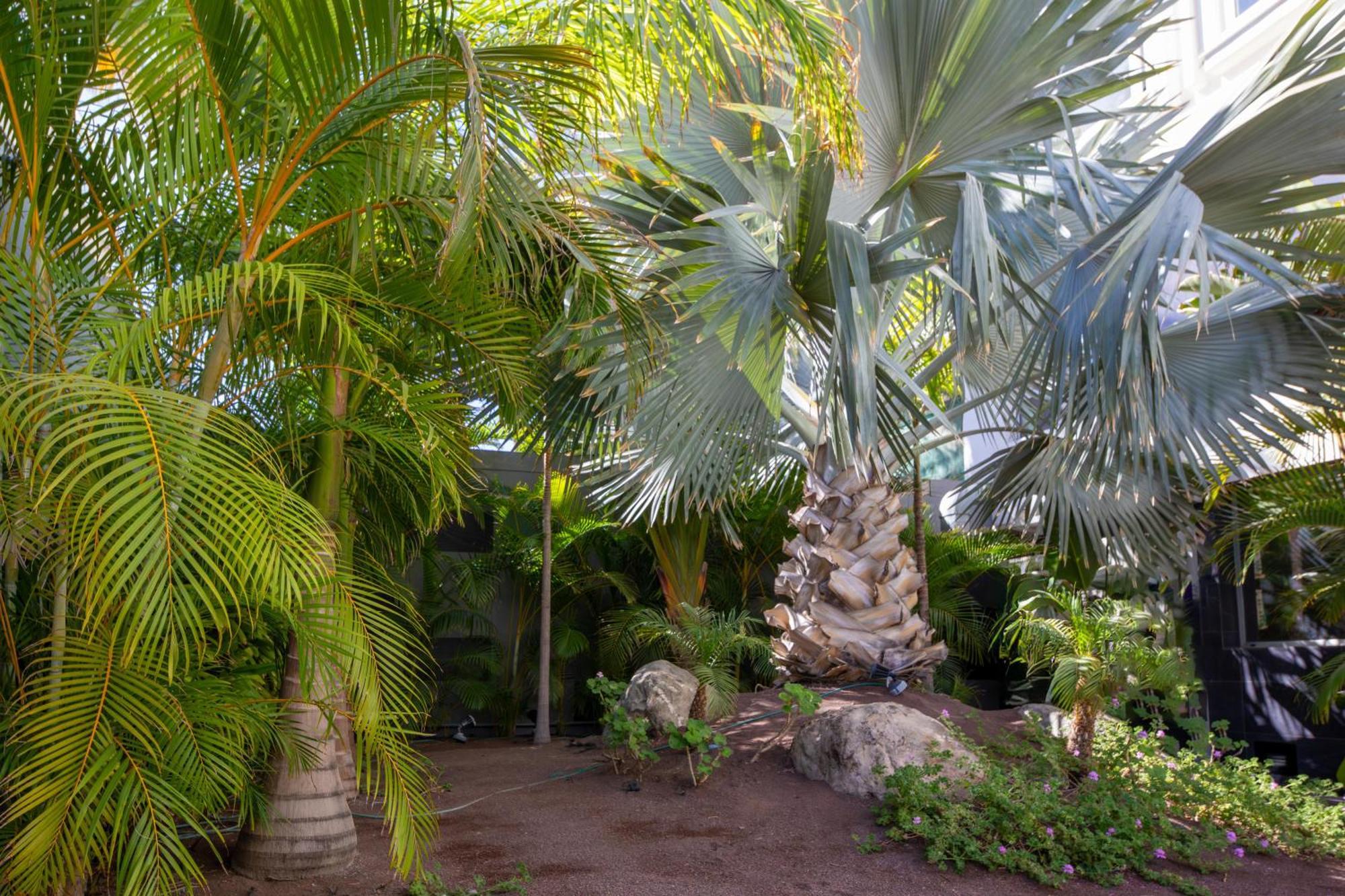Labranda Marieta & Spa - Adults Only Плайя-дель-Инглес Экстерьер фото